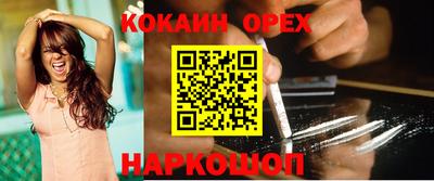 дмт Гусев